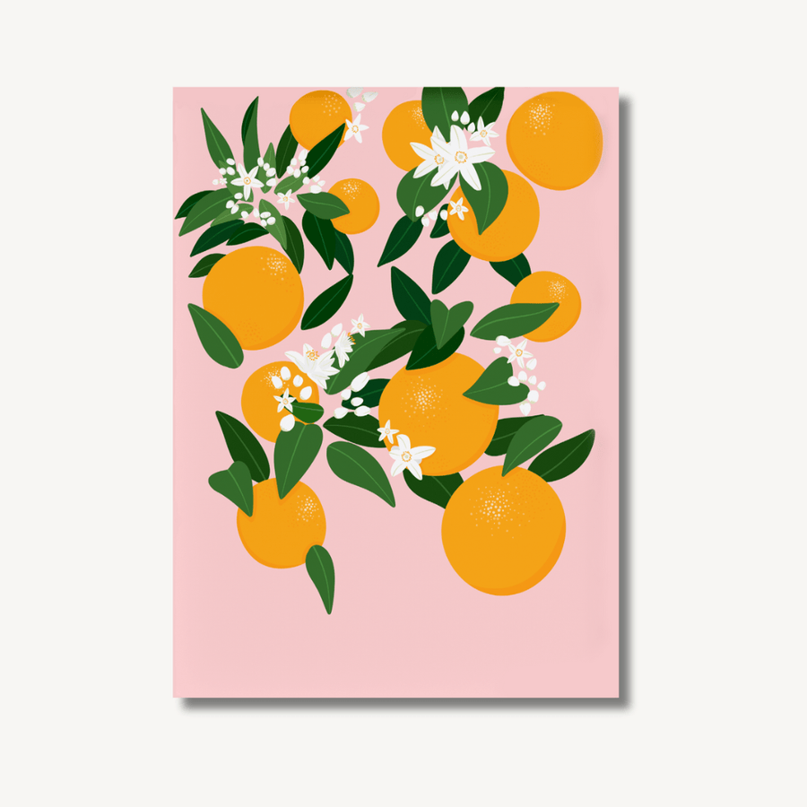 Digital painting of oranges, green leaves and delicate white flowers on a pale pink background.