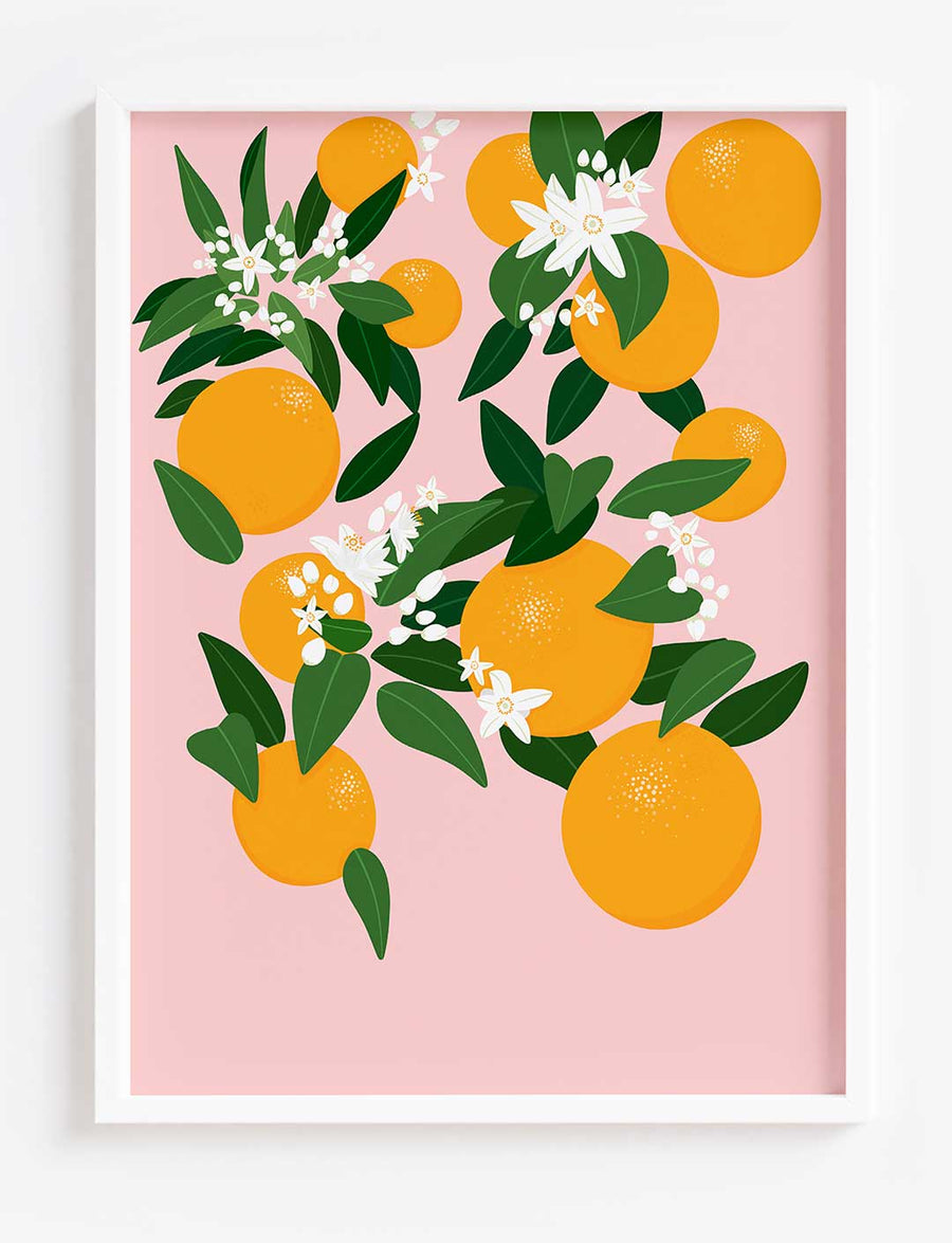 Digital painting of oranges, green leaves and delicate white flowers on a pale pink background.